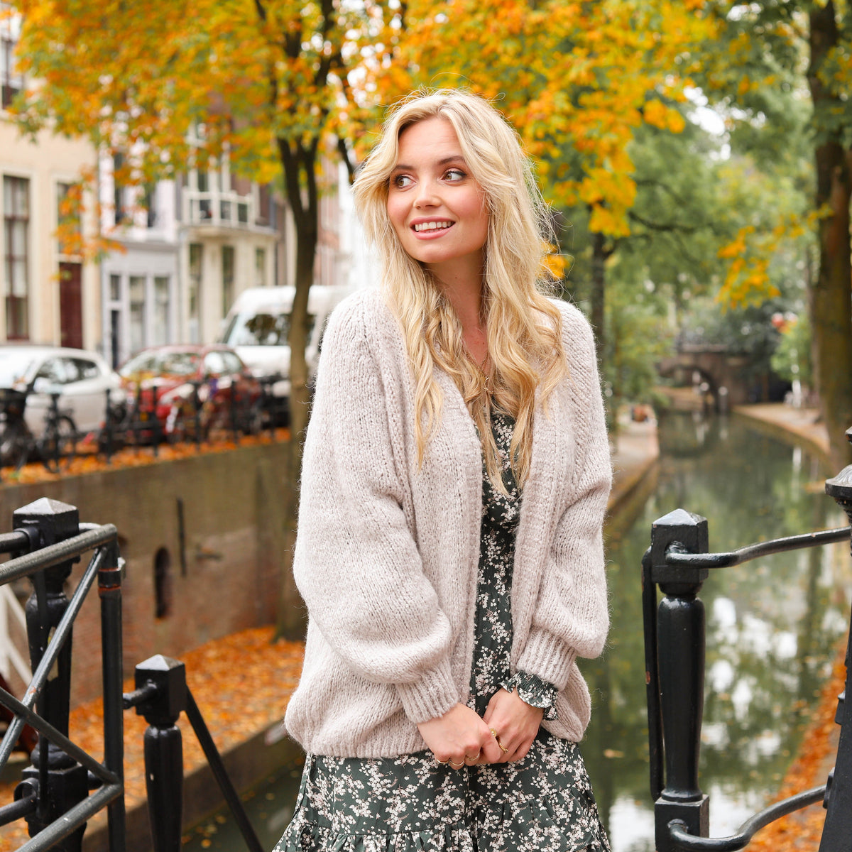 Livia vest taupe Vest Hipvoordeheb.nl